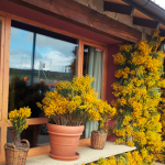 Concurso de Decoraciones