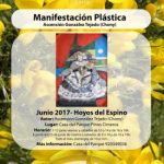 Manifestación Plástica Ascensión González Tejado (Chony)